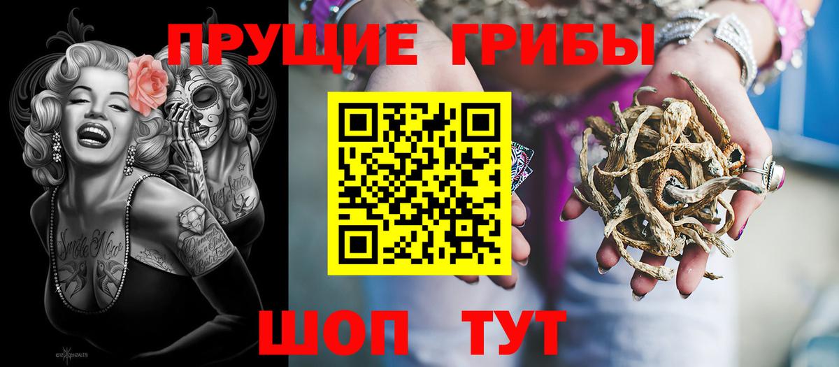 Галлюциногенные грибы Psilocybine cubensis  Галлюциногенные грибы GOLDEN TEACHER  Вход с VPN  Бугуруслан 